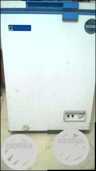 Blue Star 100 Lit deep freezer for sale