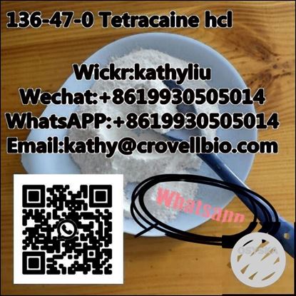 Picture of Tetracaine factory 136-47-0 Tetracaine hydrochloride / hcl 8619930505014