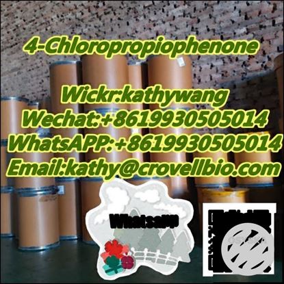 Picture of CAS 6285-05-8 4-Chloropropiophenone powder with good price and certification 8619930505014